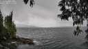 ./images/koeye/fitz-hugh/20250508/fitz-hugh20250508_140011M.jpg