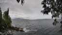 ./images/koeye/fitz-hugh/20250508/fitz-hugh20250508_140508M.jpg