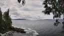 ./images/koeye/fitz-hugh/20250508/fitz-hugh20250508_141510M.jpg
