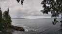 ./images/koeye/fitz-hugh/20250508/fitz-hugh20250508_143010M.jpg