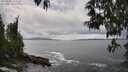 ./images/koeye/fitz-hugh/20250508/fitz-hugh20250508_143510M.jpg