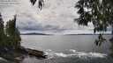 ./images/koeye/fitz-hugh/20250508/fitz-hugh20250508_150010M.jpg