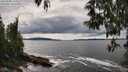 ./images/koeye/fitz-hugh/20250508/fitz-hugh20250508_151010M.jpg