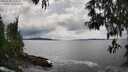 ./images/koeye/fitz-hugh/20250508/fitz-hugh20250508_152510M.jpg
