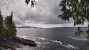 ./images/koeye/fitz-hugh/20250508/fitz-hugh20250508_154010M.jpg