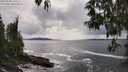 ./images/koeye/fitz-hugh/20250508/fitz-hugh20250508_154511M.jpg
