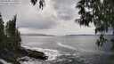 ./images/koeye/fitz-hugh/20250508/fitz-hugh20250508_155010M.jpg