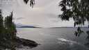 ./images/koeye/fitz-hugh/20250508/fitz-hugh20250508_160011M.jpg