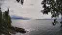 ./images/koeye/fitz-hugh/20250508/fitz-hugh20250508_161010M.jpg