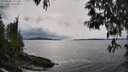./images/koeye/fitz-hugh/20250508/fitz-hugh20250508_161508M.jpg