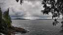 ./images/koeye/fitz-hugh/20250508/fitz-hugh20250508_163010M.jpg