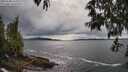 ./images/koeye/fitz-hugh/20250508/fitz-hugh20250508_163510M.jpg
