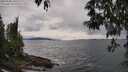 ./images/koeye/fitz-hugh/20250508/fitz-hugh20250508_165510M.jpg