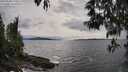 ./images/koeye/fitz-hugh/20250508/fitz-hugh20250508_170010M.jpg
