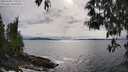 ./images/koeye/fitz-hugh/20250508/fitz-hugh20250508_170510M.jpg