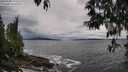 ./images/koeye/fitz-hugh/20250508/fitz-hugh20250508_172510M.jpg