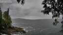 ./images/koeye/fitz-hugh/20250508/fitz-hugh20250508_182510M.jpg