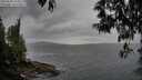 ./images/koeye/fitz-hugh/20250508/fitz-hugh20250508_183012M.jpg