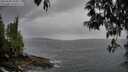 ./images/koeye/fitz-hugh/20250508/fitz-hugh20250508_184010M.jpg