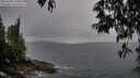 ./images/koeye/fitz-hugh/20250508/fitz-hugh20250508_190008M.jpg