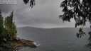 ./images/koeye/fitz-hugh/20250508/fitz-hugh20250508_190506M.jpg