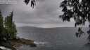 ./images/koeye/fitz-hugh/20250508/fitz-hugh20250508_192009M.jpg