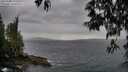 ./images/koeye/fitz-hugh/20250508/fitz-hugh20250508_192509M.jpg