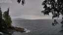 ./images/koeye/fitz-hugh/20250508/fitz-hugh20250508_193509M.jpg