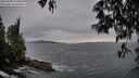 ./images/koeye/fitz-hugh/20250508/fitz-hugh20250508_194009M.jpg