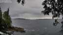 ./images/koeye/fitz-hugh/20250508/fitz-hugh20250508_194509M.jpg