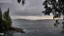 ./images/koeye/fitz-hugh/20250508/fitz-hugh20250508_202508M.jpg