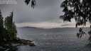 ./images/koeye/fitz-hugh/20250508/fitz-hugh20250508_203509M.jpg