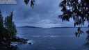 ./images/koeye/fitz-hugh/20250508/fitz-hugh20250508_212508M.jpg