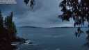 ./images/koeye/fitz-hugh/20250508/fitz-hugh20250508_213509M.jpg