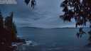 ./images/koeye/fitz-hugh/20250508/fitz-hugh20250508_214009M.jpg