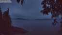 ./images/koeye/fitz-hugh/20250509/fitz-hugh20250509_050508M.jpg
