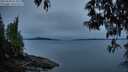 ./images/koeye/fitz-hugh/20250509/fitz-hugh20250509_053006M.jpg