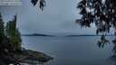 ./images/koeye/fitz-hugh/20250509/fitz-hugh20250509_053508M.jpg