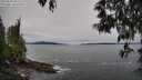 ./images/koeye/fitz-hugh/20250509/fitz-hugh20250509_091510M.jpg