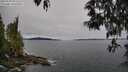 ./images/koeye/fitz-hugh/20250509/fitz-hugh20250509_095510M.jpg