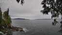 ./images/koeye/fitz-hugh/20250509/fitz-hugh20250509_100510M.jpg