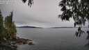 ./images/koeye/fitz-hugh/20250509/fitz-hugh20250509_103510M.jpg