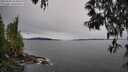 ./images/koeye/fitz-hugh/20250509/fitz-hugh20250509_104009M.jpg