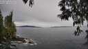 ./images/koeye/fitz-hugh/20250509/fitz-hugh20250509_105009M.jpg