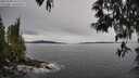 ./images/koeye/fitz-hugh/20250509/fitz-hugh20250509_105510M.jpg