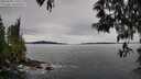 ./images/koeye/fitz-hugh/20250509/fitz-hugh20250509_110510M.jpg