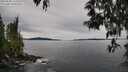 ./images/koeye/fitz-hugh/20250509/fitz-hugh20250509_111010M.jpg