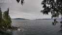 ./images/koeye/fitz-hugh/20250509/fitz-hugh20250509_114511M.jpg