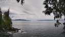 ./images/koeye/fitz-hugh/20250509/fitz-hugh20250509_124010M.jpg