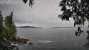 ./images/koeye/fitz-hugh/20250509/fitz-hugh20250509_134010M.jpg